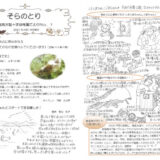 【そらのとり】2021年04月16日号