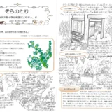 【そらのとり】2021年09月24日号