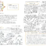 【そらのとり】2025年2月17日号